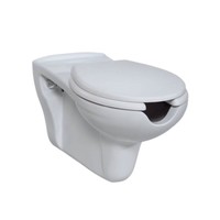 Closetzitting Creavit Inox Scharnieren & Softclose Wit TBV Mindervalide toilet