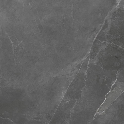 Vloertegel Stonemood 60x60 cm Grey (Prijs per m2) 