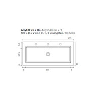 Badkamermeubel BWS Pepper Wastafel Acryl Incl Spiegelkast 2 Deurs Met 2 Kraangaten 100x55x46 cm Antraciet