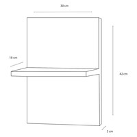 Badkamerspiegel Differnz Fabulous 42x30cm Met Planchet Wit