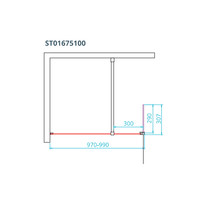 Inloopdouche Van Rijn ST01 Met Scharnierend Zijwand Helder Glas 100-30x200 cm 8 mm Chroom