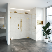 Nisdeur Compleet Just Creating Profielloos 2-Delig (Draaideur Bevestigd op Inloopwand) 200x200 cm 130/70 Goud