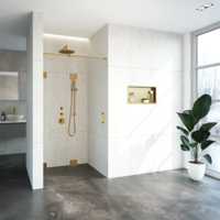 Nisdeur Compleet Just Creating Profielloos 2-Delig (Draaideur Bevestigd op Inloopwand) 110x200 cm 50/60 Goud