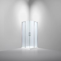Douchecabine Van Rijn ST02 Hoekinstap 100x100x200 cm 6 mm Chroom