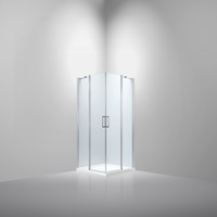 Douchecabine Van Rijn ST02 Hoekinstap 100x100x200 cm 6 mm Chroom