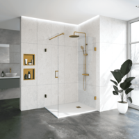 Douchecabine Compleet Just Creating 2-Delig Profielloos 120x90 cm Goud