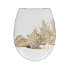 Cedo Toiletzitting Cedo Shell Softclose Wit Beige