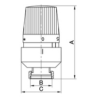 Thermostatisch Radiatorventiel Riko 1/2"x15 mm Recht Mat Zwart