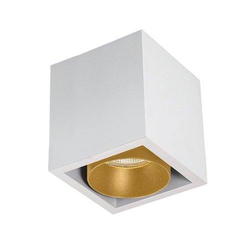 Spot Aquasplash Regina Aluminium 745Lm 9,2W Wit Met Gouden Anti-Glare Ring 