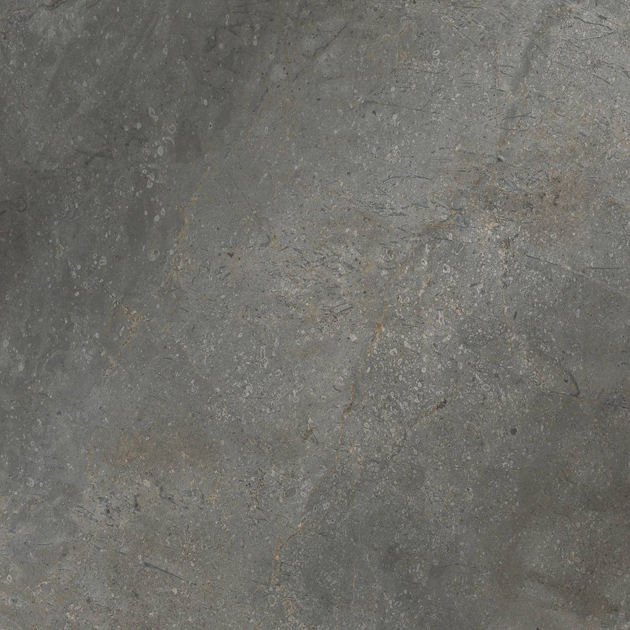 Vloertegel TS-Tiles Stonemaster Graphite 60x60 cm (doosinhoud 1.43m2)(prijs per m2)