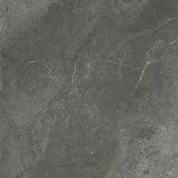 Vloertegel TS-Tiles Stonemaster Graphite 60x60 cm (doosinhoud 1.43m2)(prijs per m2)