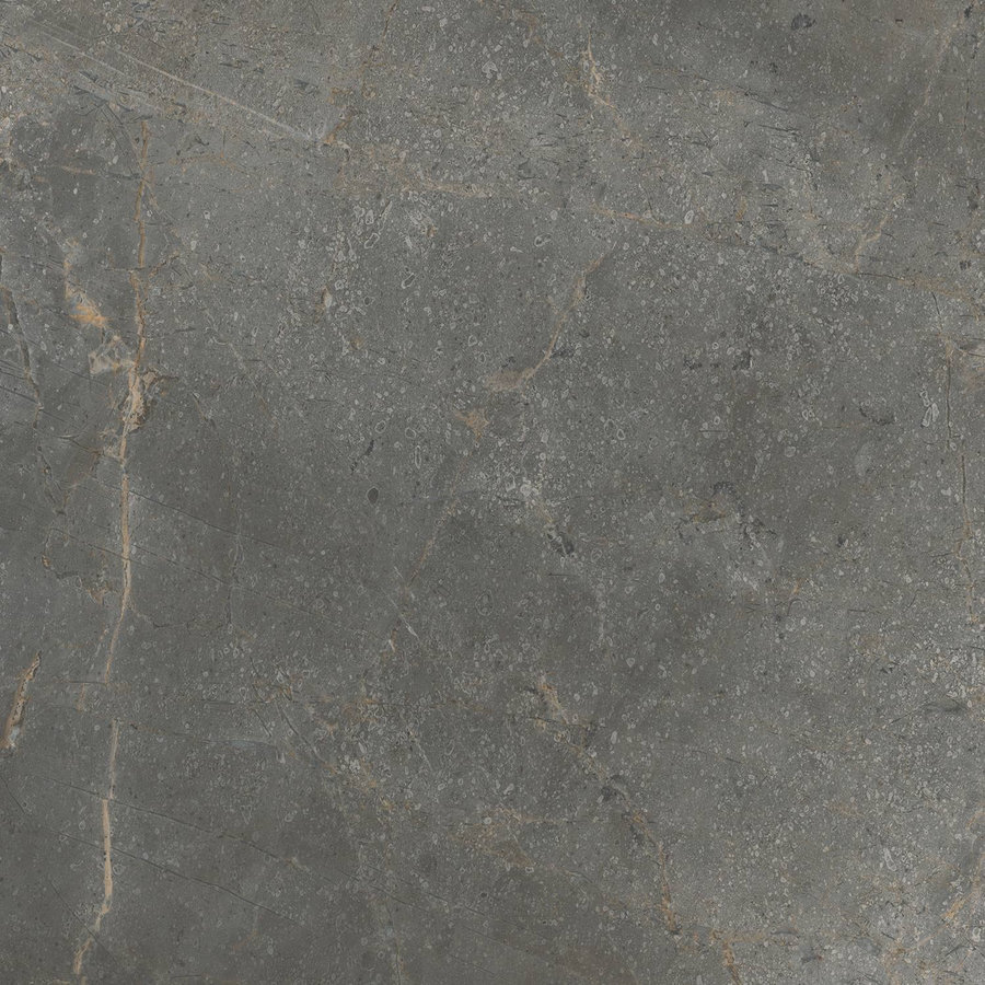 Vloertegel TS-Tiles Stonemaster Graphite 60x60 cm (doosinhoud 1.43m2)(prijs per m2)