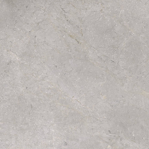 Vloertegel TS-Tiles Stonemaster Silver 60x60 cm (doosinhoud 1.43m2) (prijs per m2) 