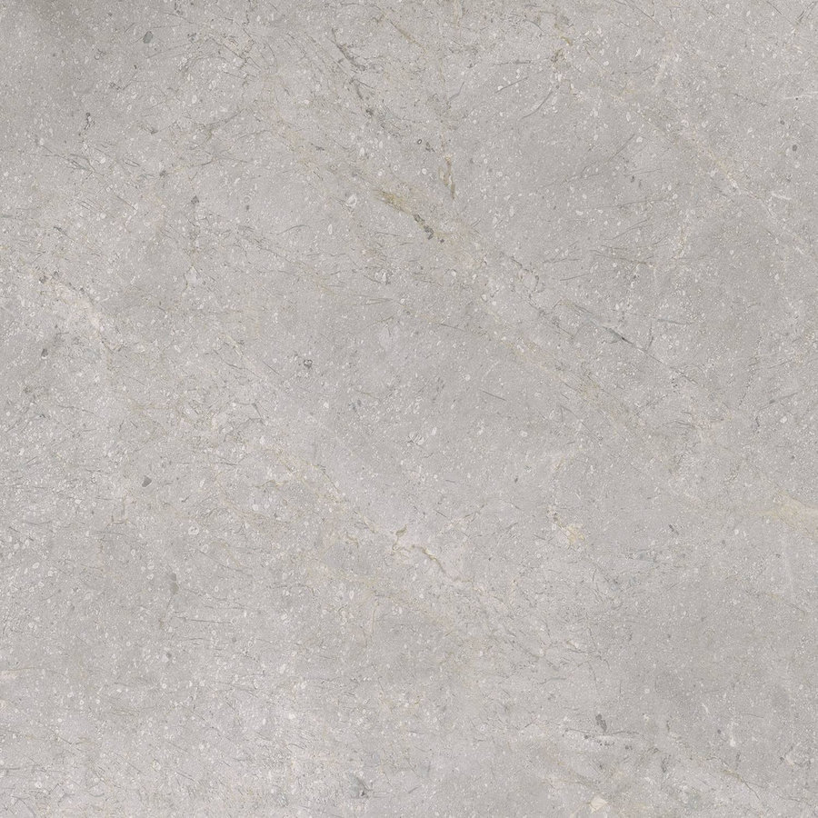 Vloertegel TS-Tiles Stonemaster Silver 60x60 cm (doosinhoud 1.43m2)(prijs per m2)