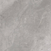 Vloertegel TS-Tiles Stonemaster Silver 60x60 cm (doosinhoud 1.43m2)(prijs per m2)