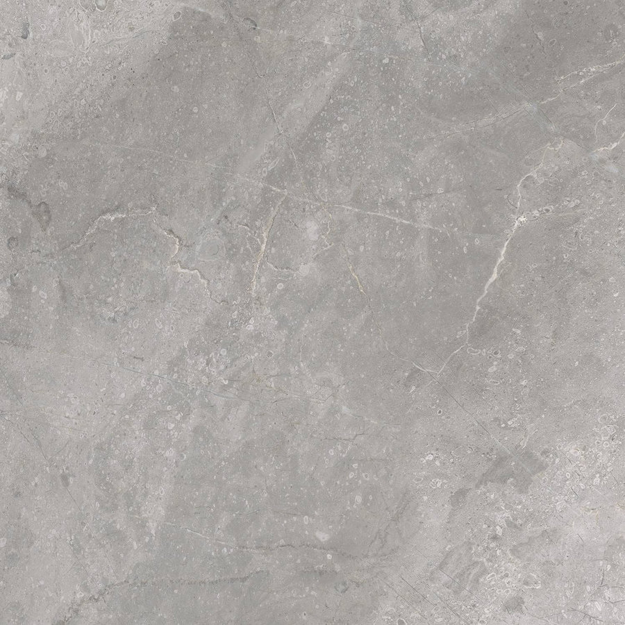 Vloertegel TS-Tiles Stonemaster Silver 60x60 cm (doosinhoud 1.43m2)(prijs per m2)