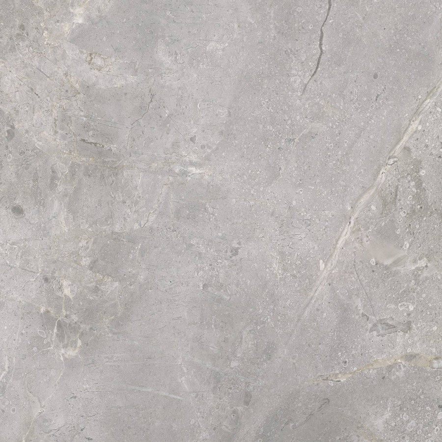 Vloertegel TS-Tiles Stonemaster Silver 60x60 cm (doosinhoud 1.43m2)(prijs per m2)