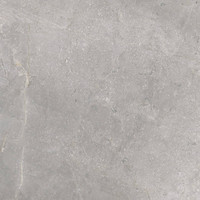 Vloertegel TS-Tiles Stonemaster Silver 60x60 cm (doosinhoud 1.43m2)(prijs per m2)