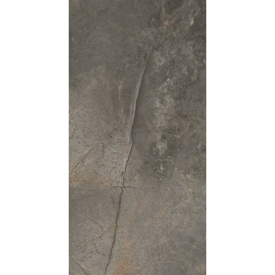 Vloertegel TS-Tiles Stonemaster Graphite 60x120 cm (doosinhoud 1.43m2) (prijs per m2)