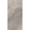 Vloertegel TS-Tiles Stonemaster Silver 60x120 cm (doosinhoud 1.43m2) (prijs per m2)