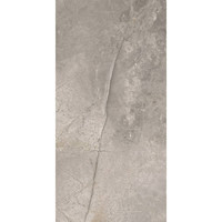 Vloertegel TS-Tiles Stonemaster Silver 60x120 cm (doosinhoud 1.43m2) (prijs per m2)