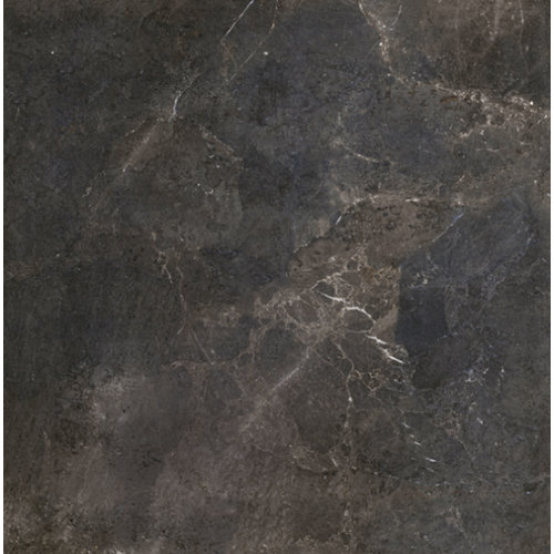 Douglas & Jones Vloer en Wandtegel OnebyOne Black Diamond 100x100cm (Doosinhoud 2m2) (prijs per m2) 