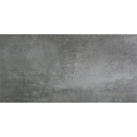 Vloertegel Alaplana Ruano Antracita Mate 60x120 cm (doosinhoud 1.43m2) (prijs per m2)