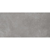 Rako Wandtegel Rako Betonico 30x60 cm Grey Grijs (Doosinhoud: 1,08 m2) (prijs per m2)