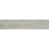 Alaplana Vloertegel Alaplana Isengard Mat Gris 30x150 cm Houtlook Grijs (doosinhoud 1.34m2) (prijs per m2)