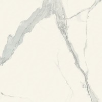 Vloertegel Douglas & Jones Magnum 120x120 cm Marmerlook Gerectificeerd 6 mm Geglazuurd Statuario (prijs per m2)