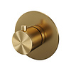 Brauer Inbouwthermostaat Brauer Gold Edition met Ronde knop en Rozet Geborsteld Goud