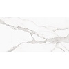 Vloertegel Alaplana P.E. Palladio Statuario Mat Satin 60x120 cm Gerectificeerd Marmerlook (Doosinhoud 1.44 m2) (prijs per m2)