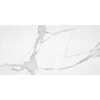 Vloertegel Alaplana P.E. Palladio Statuario Gepolijst 60x120 cm Gerectificeerd Marmerlook (Doosinhoud 1.44 m2) (prijs per m2)