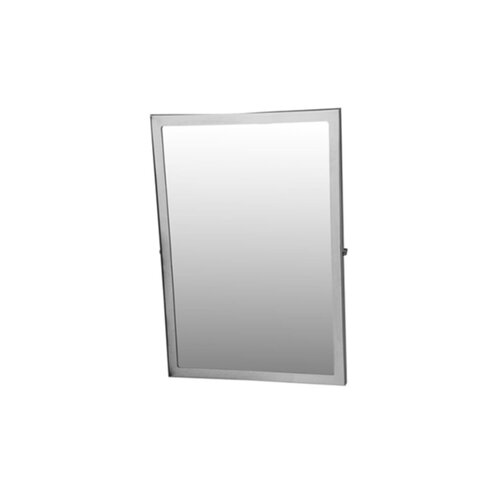 Kantelbare Spiegel Voor Mindervaliden 50x70 cm 
