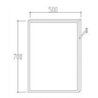 Kantelbare Spiegel Voor Mindervaliden 50x70 cm