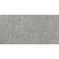 Vloertegel Cosmos Antraciet Gepolijst 30x60 (prijs per m2) OP=OP