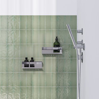 Doucherek Brauer Chrome Edition 23 Cm Chroom