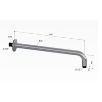 Wandarm Hotbath Ace 42 cm Geborsteld Chroom