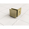 Boss & Wessing Glaskoppeling Set tbv Inloopdouche BWS Mark Zonder Profiel Geborsteld Messing Goud