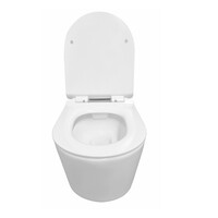 Rimless Wandcloset BWS Mark Met Toiletzitting Softclose En Quick Release Glans Wit