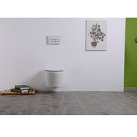 Rimless Wandcloset BWS Mark Met Toiletzitting Softclose En Quick Release Glans Wit