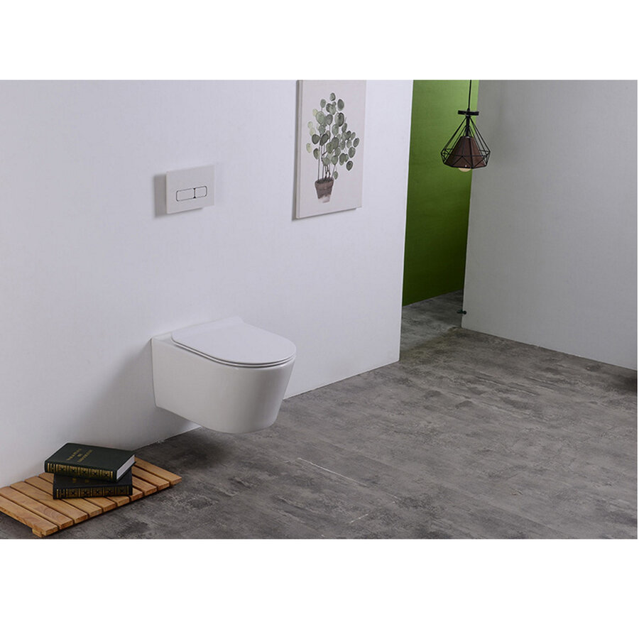 Rimless Wandcloset BWS Mark Met Toiletzitting Softclose En Quick Release Glans Wit