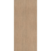 Vloertegel Douglas & Jones 120x280 cm Magnum Plank 1 (Prijs per M2)