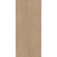 Vloertegel Douglas & Jones 120x280 cm Magnum Plank 1 (Prijs per M2)