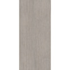 Douglas & Jones Vloertegel Douglas & Jones 120x280 cm Magnum Plank 5 (Prijs per M2)