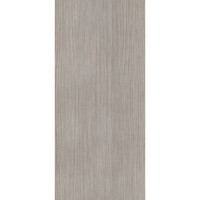 Vloertegel Douglas & Jones 120x280 cm Magnum Plank 5 (Prijs per M2)