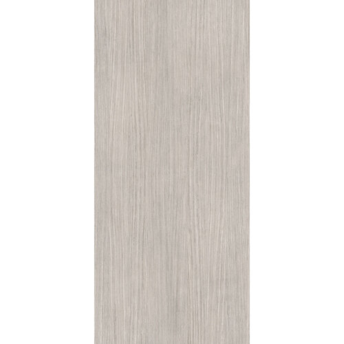 Vloertegel Douglas & Jones 120x280 cm Magnum Plank 4 (Prijs per M2) 