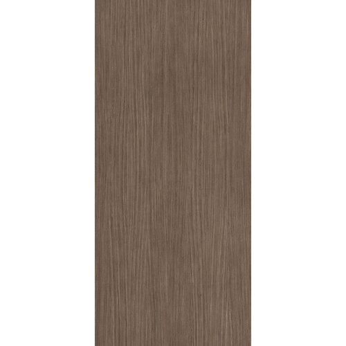 Vloertegel Douglas & Jones 120x280 cm Magnum Plank 2 (Prijs per M2) 