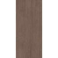 Vloertegel Douglas & Jones 120x280 cm Magnum Plank 2 (Prijs per M2)