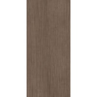 Vloertegel Douglas & Jones 120x280 cm Magnum Plank 2 (Prijs per M2)